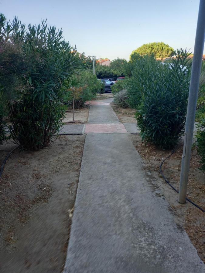 Appartement Saint Cyprien Plage Residence Les Mas De La Mer Exterior foto